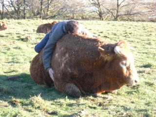 Sieste sur Cosaque